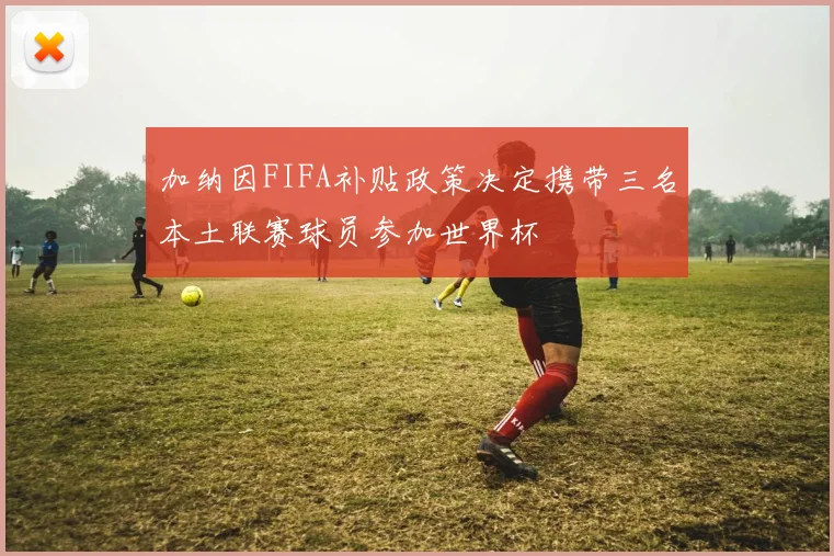 加纳因FIFA补贴政策决定携带三名本土联赛球员参加世界杯